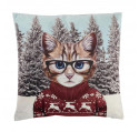 Coussin CHAT SKIEUR  45cm